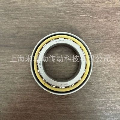 Biansuxiang – LIJIN SA-508519 Bearing