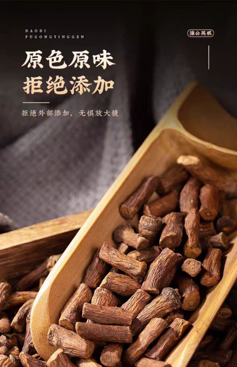 Dandelion Root (Taraxacum officinale) — Dried Pugongying Gen Herbal Tea & Decoction Pieces preparation