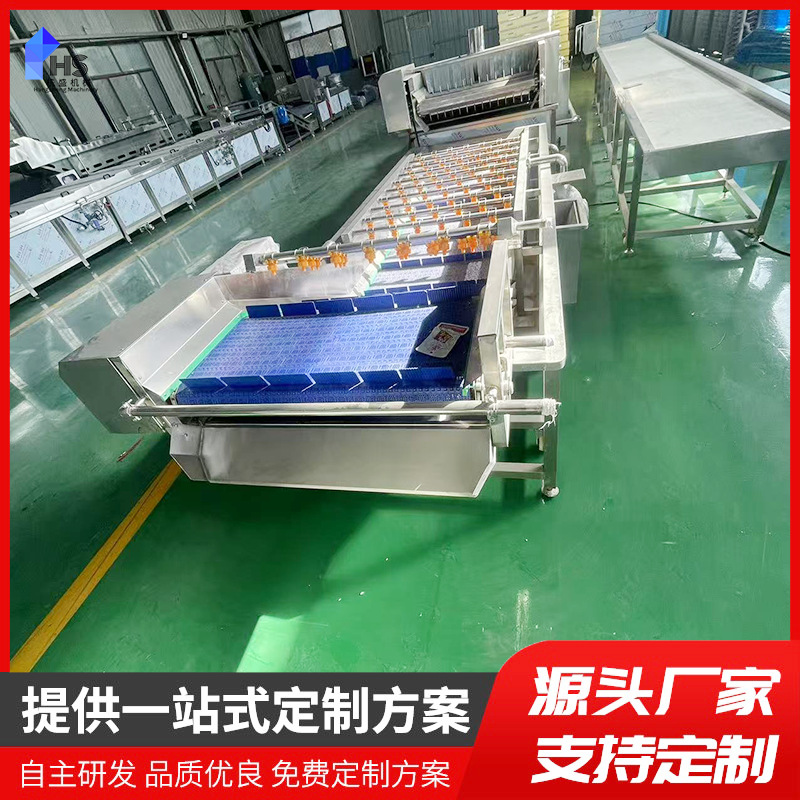 Máquina de limpieza de burbujas de frutas y verduras liofilizador al vacío de frutas para manzana liofilizada preprocesada limpia línea de ensamblaje de secado por aire