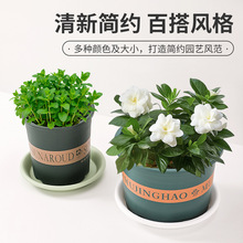 �����бP�Ӻ����Ͻ�ˮ�P�A���бP���л��P�ױP�������Ե������l