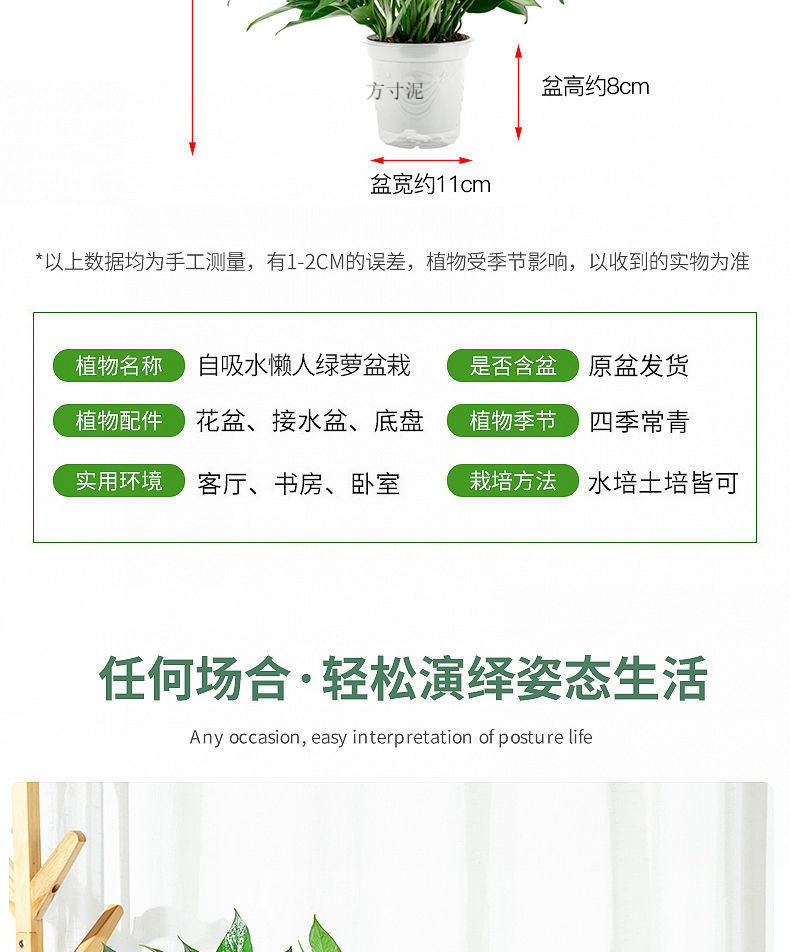 91b9deb3-3640-4fce-b11f-713e56870bae.jpe