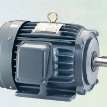 东菱电机/东菱马达/东菱减速机13524099615