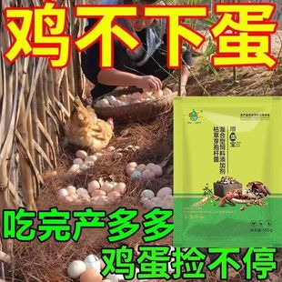 ������ĸ�u���µ��ٮa���������a׌ĸ�u���µ����y�����u�w���M�C