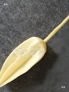 ����ٲɚ�ȡ�V���ɼ�2L����z�yβ����w�ɘӴ���đ���zԔ��