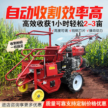 ի@CСոCòոCƶ๦ܽնC