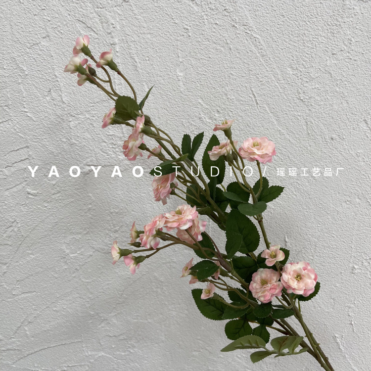 微信图片_20210523095257