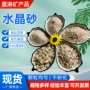 水处理1-3mm3-5mm园艺底砂水洗砂