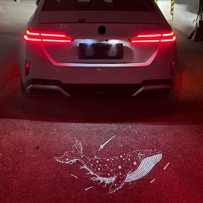 License plate lamp — Series, X1, iX3, X5, M3, M4 car - x511-21-years-single-projection-license-plate-light-whale