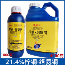 ��ͭ�簱ͭ���ϲ�ݮ��ή���񲡸�����ϸ�����߲�ɱ����4000��