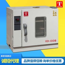 泰斯特直营 电热恒温干燥箱实验室烘箱工业烤箱小型高温202-0AB