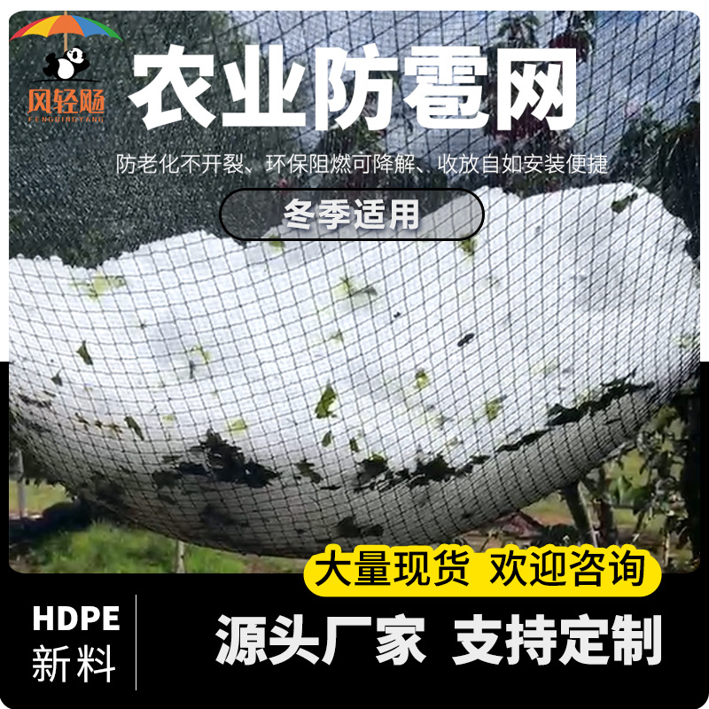 风轻飏防雹网农业专用加厚防虫网罩大棚蔬菜果园鱼塘养殖网防冰雹