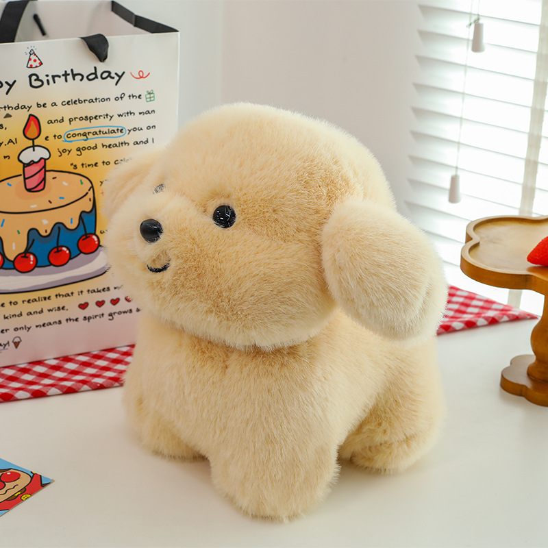 액세서리가 없는 벌거벗은 개