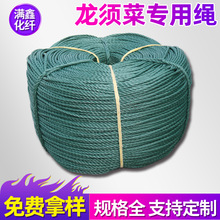 ��횲��þ������K����ϩ�K��������������������K��횲����K��