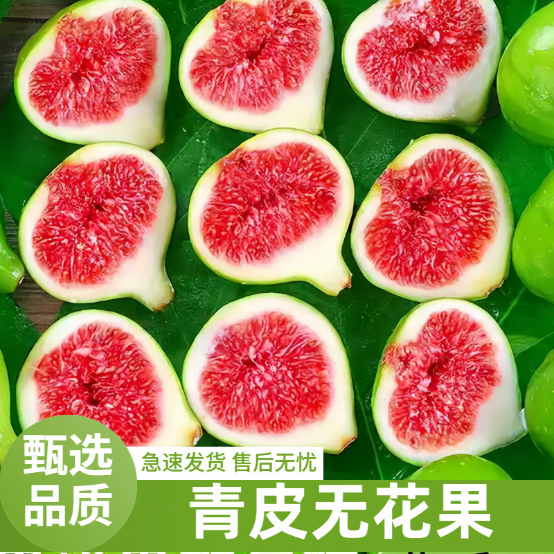 Freshly picked figs 2.5kg pack, a specialty from Weihai, Shandong, green-skinned with red flesh, fresh fruit shipped immediately, suitable for pregnant women