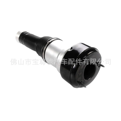 Class W221, damping system
