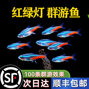 �t�G���~�Ꭷ�^�p�~С�͟����~��ɏ���~��ˮ�~Ⱥ���~��ȸ�~���R�~