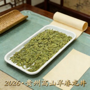 2026���²贺���F�ݸ�ɽ�紺����ɢ�b���l�G�����������S������