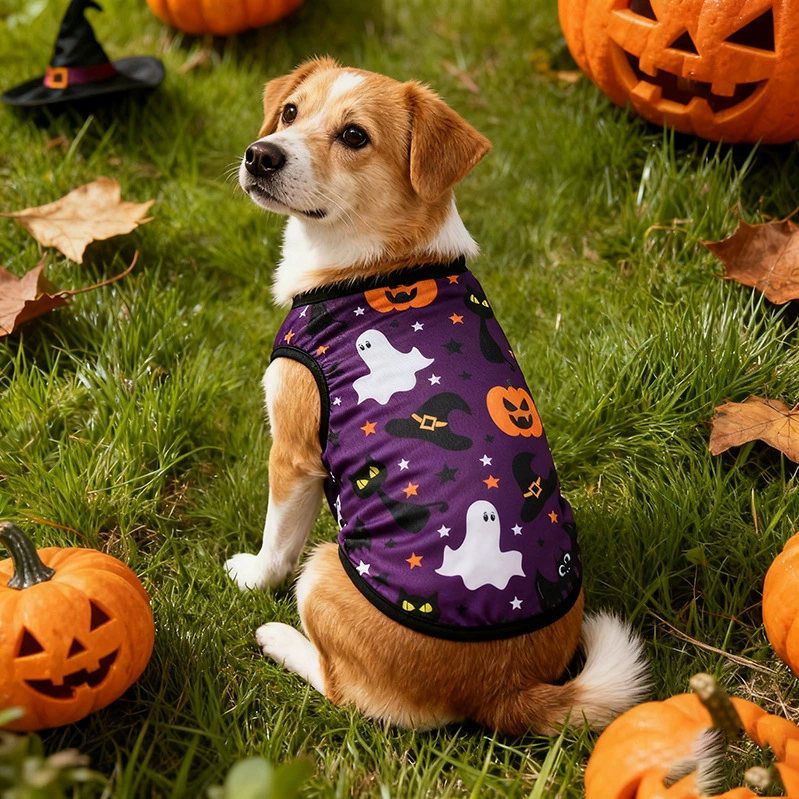 Трансграничные щенки, товары для домашних животных, рождественские праздники, одеваться, одеваться, одеваться, одеваться, смешно, новая и странная одежда для собак