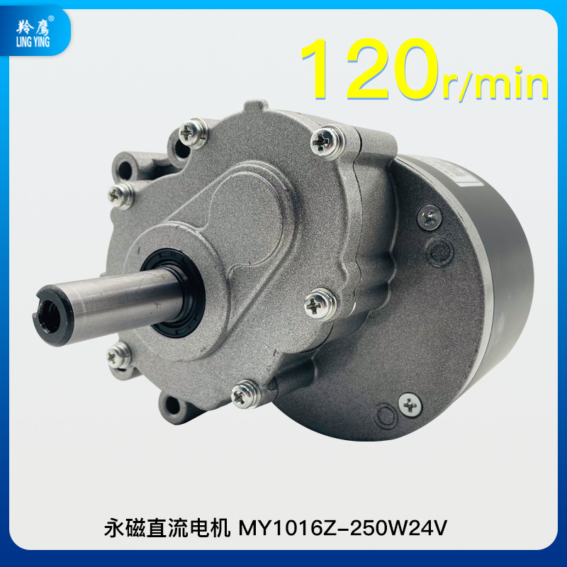 Impingle MY1016Z imán permanente DC cepillado baja velocidad de dos etapas reducción de vehículo eléctrico motor 24V250W Motor de silla de ruedas