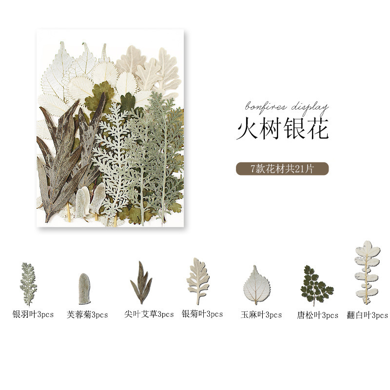 干花diy材料包永生花压花片押花草手工滴胶书签真花植物树叶标本|undefined