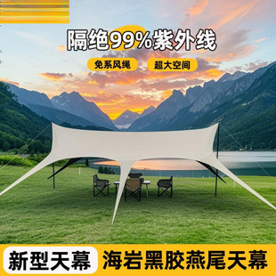 Outdoor Canopy Tent with Black Octagonal Canopy, Rainproof and Sunproof, No-Tie Swallowtail Butterfly-Shaped Sunshade, Camping Essential