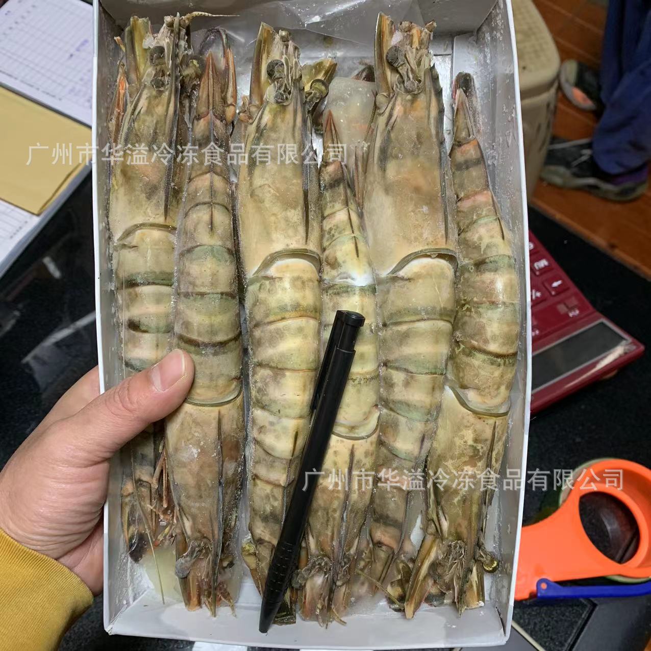 特大黑虎虾 6只净重900克/盒 野生大虎虾 速冻班节大虾