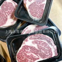 ���޽��P��M9+����F4����ţ203������lţ�����͵����ۺ�ţ����