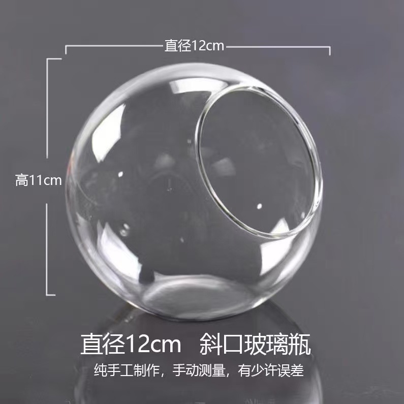 透明斜口玻璃花瓶 圆形微景观生态瓶多肉花瓶水培花器|undefined