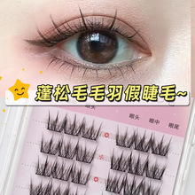 ëë��ٽ�ë�δطֶμ޽ӽ�ë��Ȼ�~β���Ӷ�ë��������Ůë