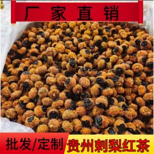 �����F�ݴ���t���F���خa�B������ɺͼt�������ɢ�b