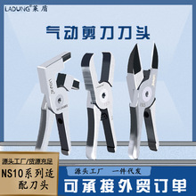 RܚӼ NS-10ν͙CеԄӻˮڼQ^FD5 F5LS