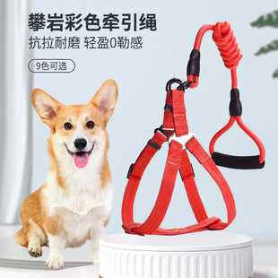 ���Kp�K�����ֿ羳���������K�����ر����޹��K�󹷌��ﹷ���