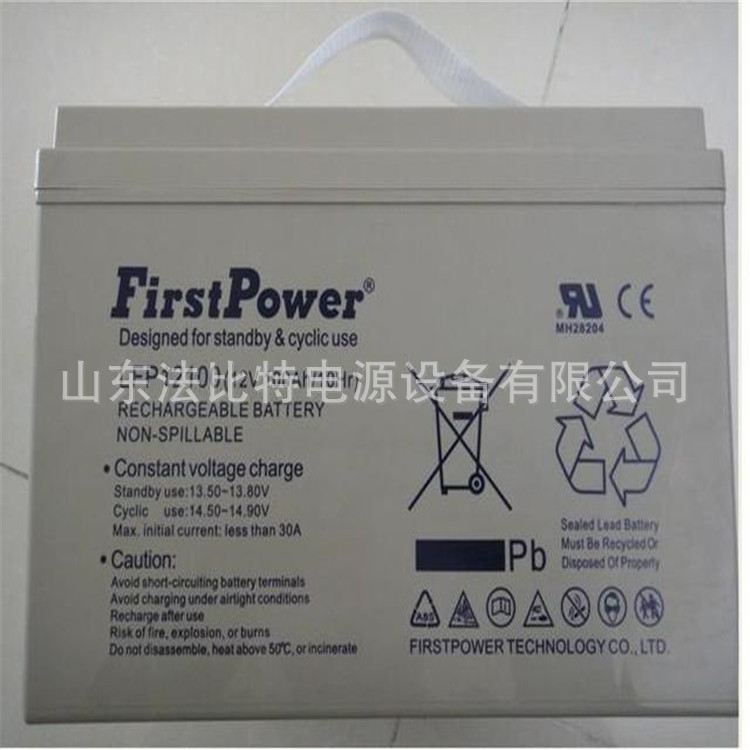上海一电阀控式蓄电池LFP12100免维护12V100AH通讯机房 LFP12100