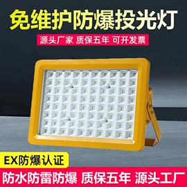 投射灯;防爆灯;投光灯