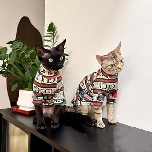 ◈ Hairless Cat Devon Clothes Sphynx Summer Trendy High-Elastic T-Shirt Milk Silk Fabric Air-Conditioned Clothes