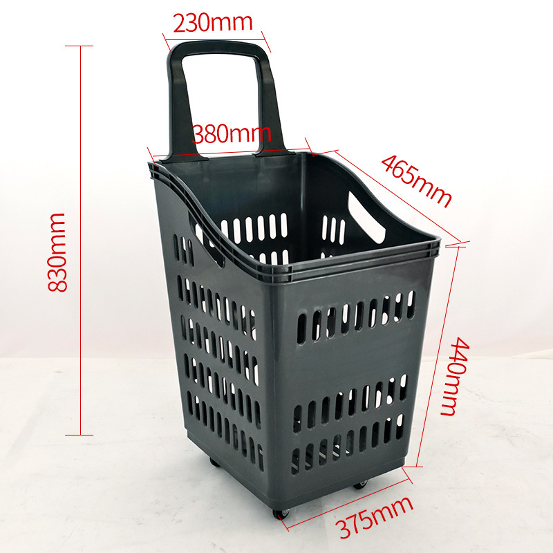 하이 백 60L 4 륜 애쉬 핫 세일