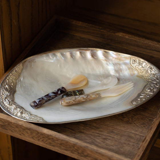 Natural shell tray jewelry cosmetics storage tray light luxury home decoration living room decoration Sichuan Fritillaria fruit