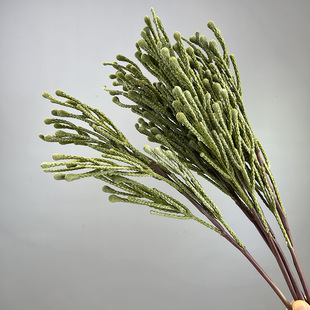 ɺ���������Ϸǻ���ܛ�b��ˇ�����ɯ���ɲ廨��֦ɳ�����Ϸ�ɺ��