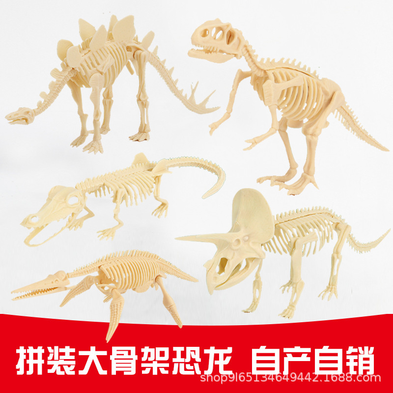 Dinosaur Skeleton Fossil Assembly Model Archaeological Excavation Toy Plaster Treasure Hunting Archaeological Tool Set of Three