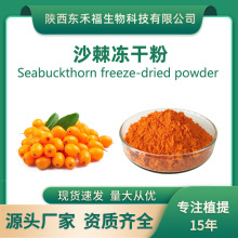 沙棘冻干粉 沙棘提取物沙棘原料粉沙棘果粉含沙棘黄酮1kg/袋