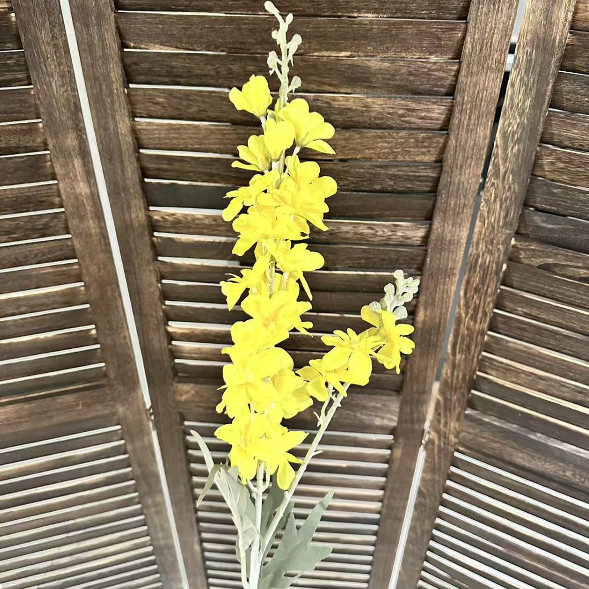 몰려드는 델피늄