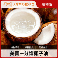 ���sҬ���������M��ֲ����ԭ�����l���w��Ħ��Coconut����܇����