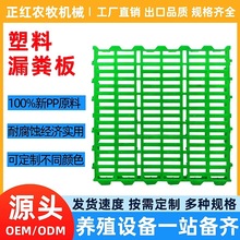 塑料漏粪板母猪产床保育床通用型养殖设备可定制厂家直销现货供应