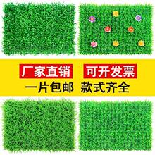 ����ֲ��˹��Gֲ���̲�ƺ�ٲ�Ƥ�҃ȱ����b����̨���ϲ�ƺ