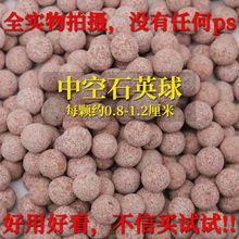 no1�п���������~�����^�V�����^�VͰ����ʯӢ���~�׼����ݞV��