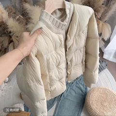 冬の新商品の偽の2つの韓国系のニットは1列をつないで羽毛の綿服を掛けます。