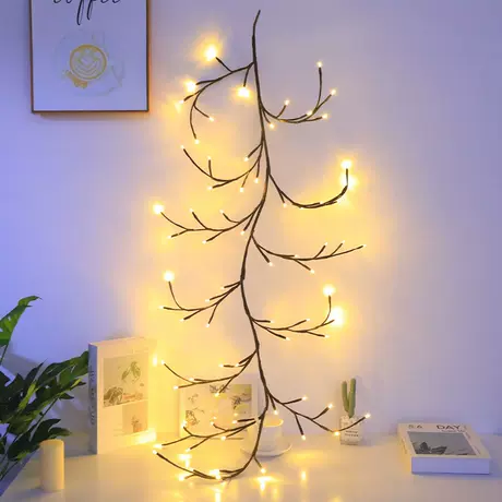 2.08m lights eight functions usb (with remote control)