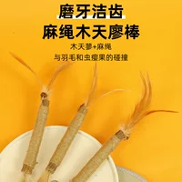 Шлифовальная палочка для кошек Горец Hydroxylium Очищающее перо Насекомое Желчие фрукты Веселая палочка для кошек Шлифовальный прикус Самохей Депрессование для кошек