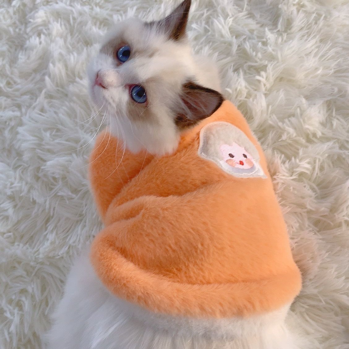 Ropa de gato invierno cálido anti-pelusa marioneta azul gato lindo mascota gatito pequeño perro ropa para mascotas