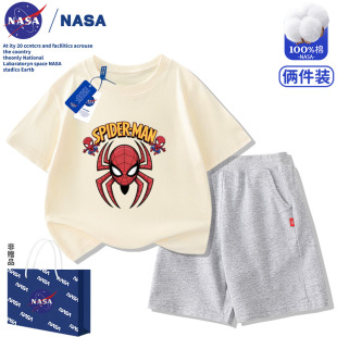 NASA��ͯ֩��b�������b2026�¿��ļ������д�ͯ�\�����e�ɼ��׳�